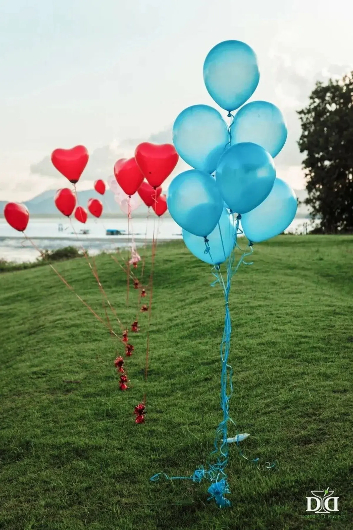 Helium Balloons