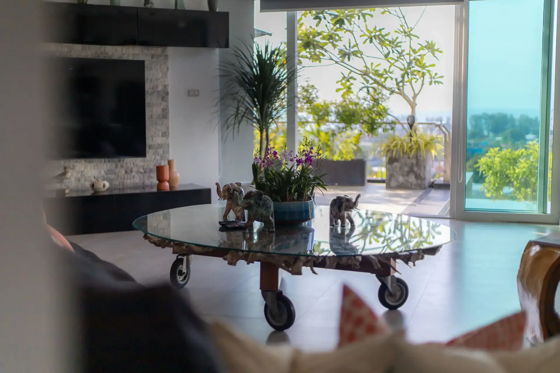 Villa V7 N, Surin